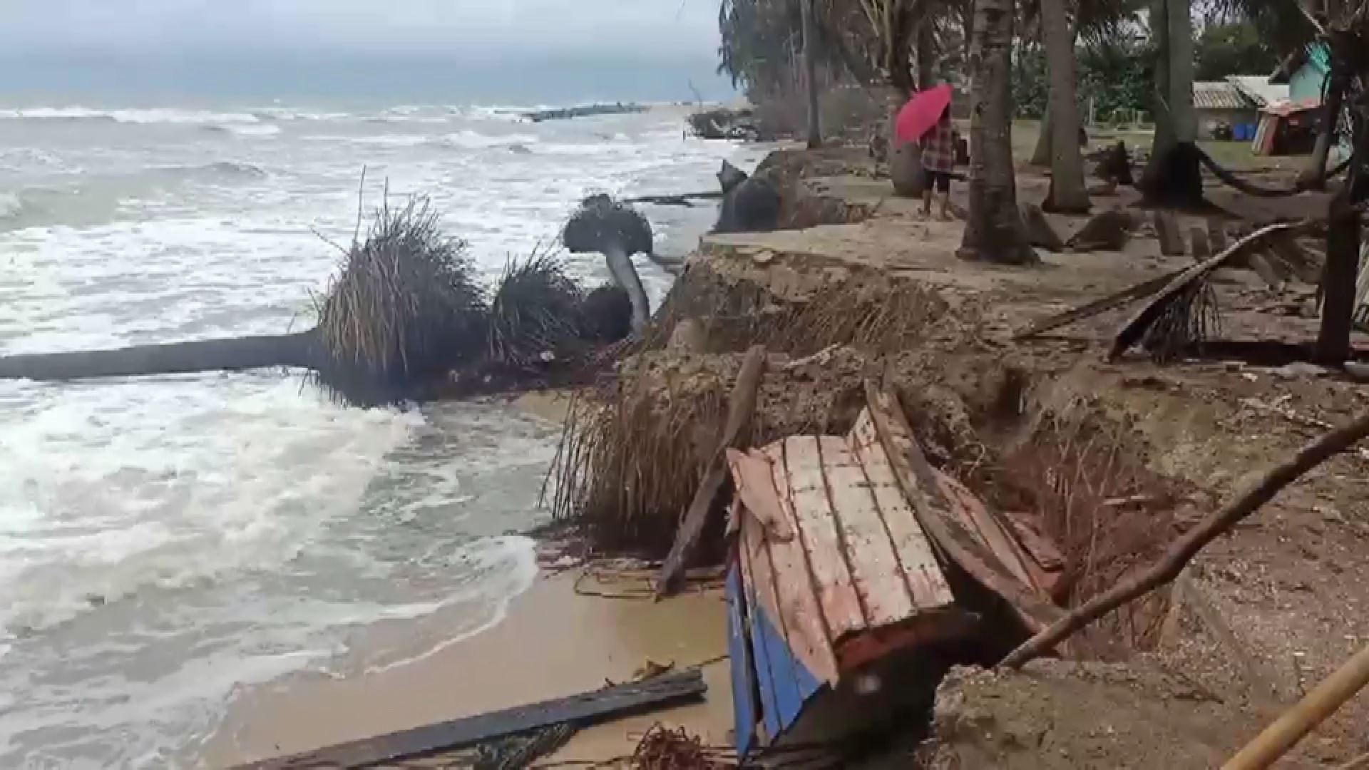 คลื่นลมรุนแรงกัดเซาะบ้านพังอพยพอุตลุตโลมาตายเกยหาด-ช่วยชีวิตเต่าทะเลหายาก