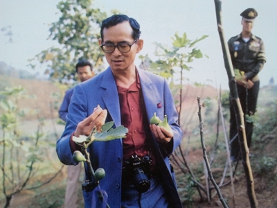 ทรงสร้างประโยชน์สุขสู่ปวงประชา :  ม.ล.ปนัดดา ย้ำนำหลักปรัชญาเศรษฐกิจพอเพียงฯ คือศาสตร์พระราชานโยบายขับเคลื่อนหลอมเด็กอาชีวะ (3)