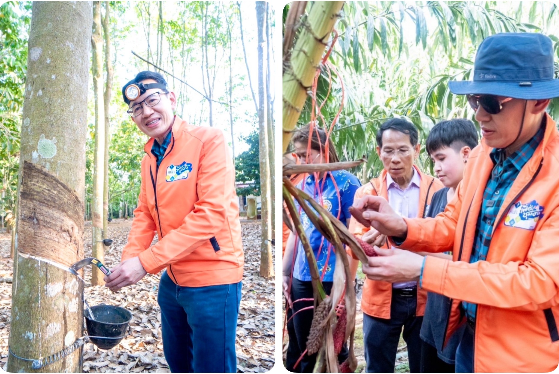 เลขาธิการ คปภ. บูรณาการเต็มพิกัดเปิดตัว “ประกันภัยสวนยางพารา” นำร่องให้เกษตรกรสวนยางจังหวัดชุมพร
