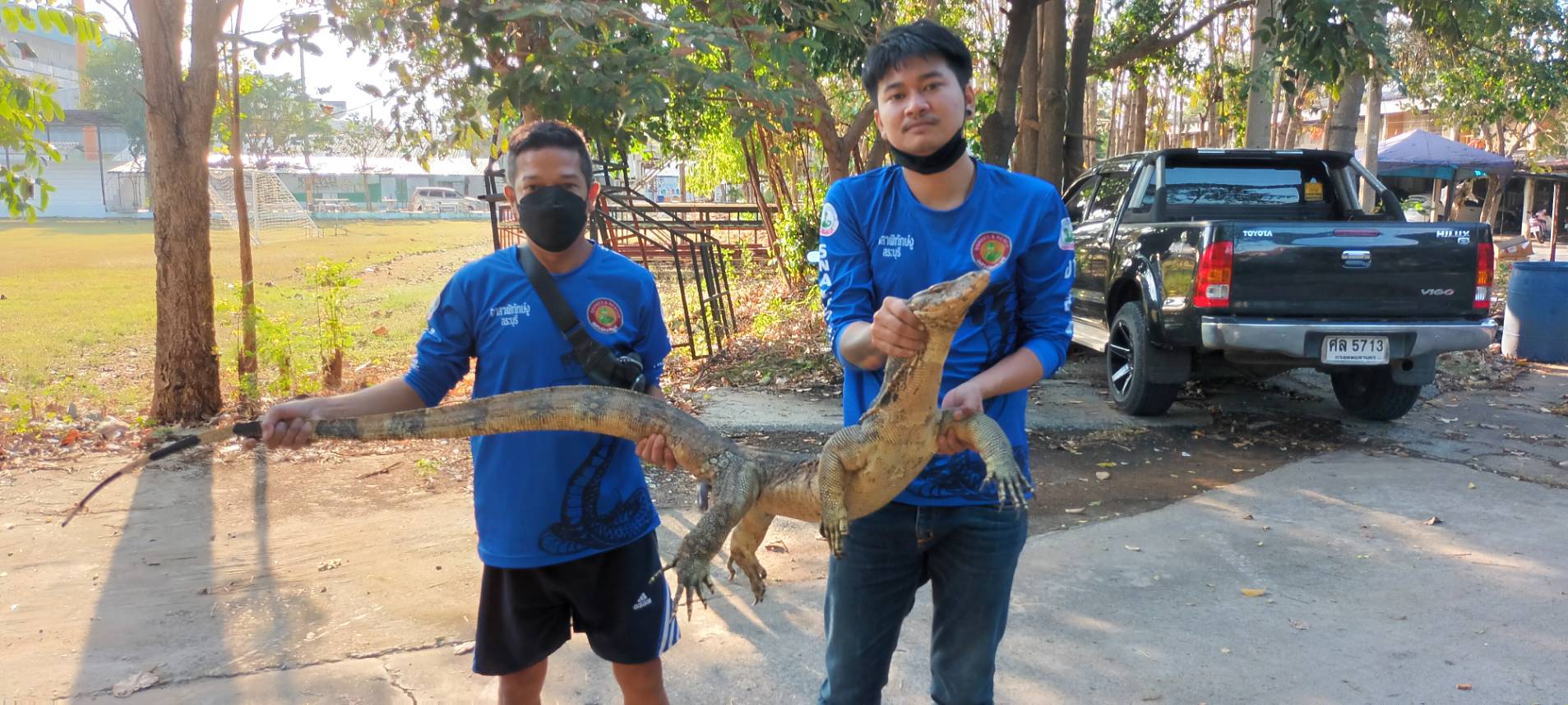  คิดว่าจระเข้! ครูสาวผงะ ตัวเงินตัวทองบุกเข้าห้องในบ้านพักชั้น 2