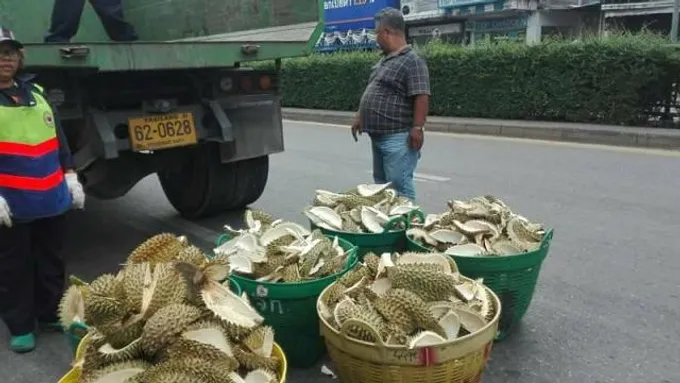 เขตคลองเตยไอเดียแจ่ม!ใช้เปลือกทุเรียนบดทำปุ๋ย/ลดขยะได้ถึง400กก.