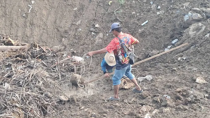 นาทีชีวิต! ช่วย "นางแม้ว" หมาดุติดบ่อโคลนข้ามคืนรอดหวุดหวิด