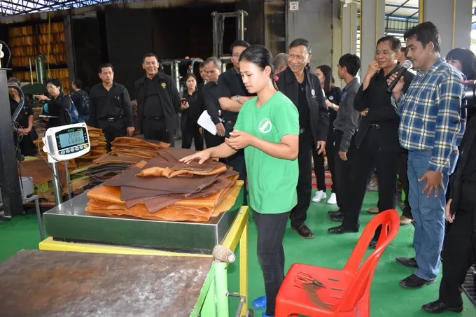 กมธ.เกษตรฯ ลงพื้นที่ดูงานโรงรมควันยางชุมนุมสหกรณ์จังหวัดระยอง จำกัด ต้นแบบแก้ปัญหาราคายาง