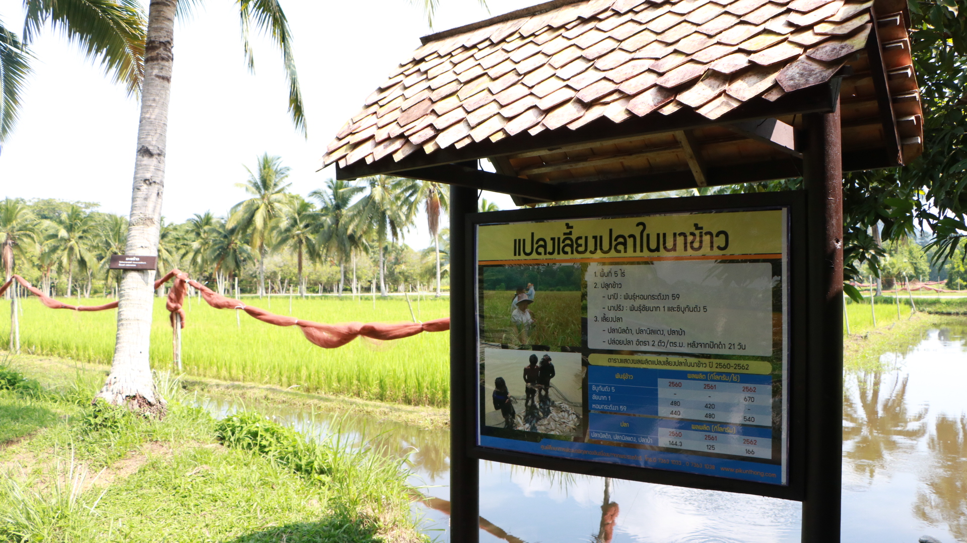 ศูนย์ศึกษาการพัฒนาพิกุลทองฯ  เชิญเที่ยวงาน "ชมศูนย์ศึกษา พัฒนาความรู้ ดูนิทรรศการ" ครั้งที่ 21