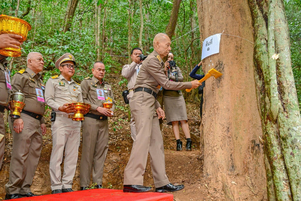 ประกอบพิธีบวงสรวงตัด “ไม้จันทน์หอม” 20 ต้น ณ ป่ากุยบุรี ใช้ในงานพระราชพิธีพระศพ “เจ้าฟ้าพัชรกิติยาภา”