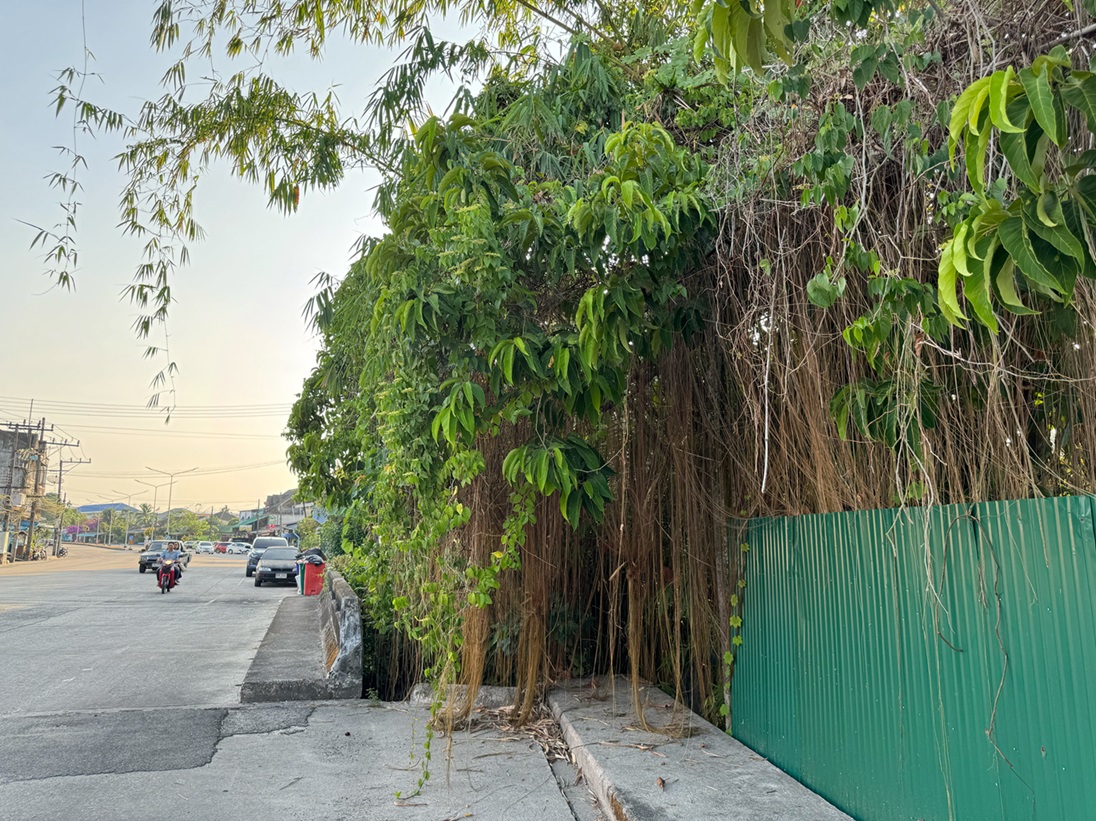 ศพนิรนามบริเวณหัวสะพานถนนผาดาด ระนอง คาดผู้เสียชีวิตอาจจะอัตวินิบาตตัวเองด้วยความเมา