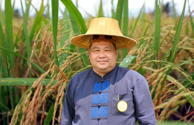 กรมข้าว แจ้งชาวนาขึ้นทะเบียนเกษตรกร เป็นขั้นตอนร่วมโครงการเปลี่ยนเมล็ดพันธุ์ฯ 
