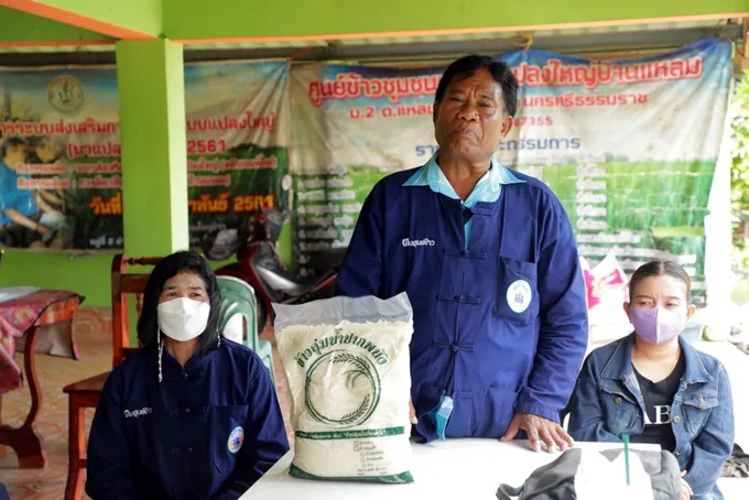 ศูนย์ข้าวชุมชน จ.พัทลุง-นครศรีฯ ต้นแบบการผลิตเมล็ดพันธุ์ข้าวเพื่อดูแลสมาชิกและชุมชน