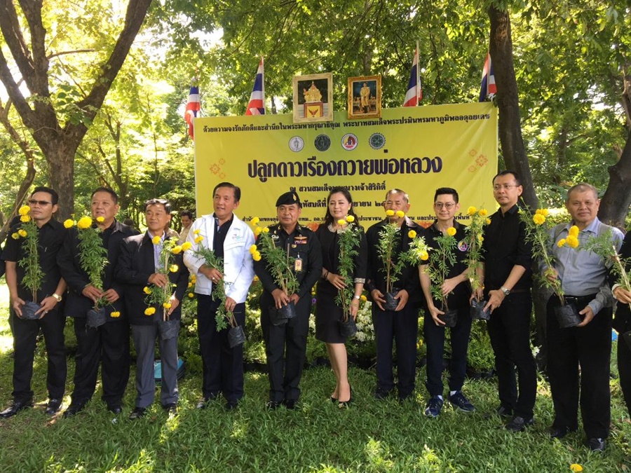 พลโทชนาทิป บุญนาค ร่วมกับสภากรุงเทพมหานครปลูกต้นดาวเรือง