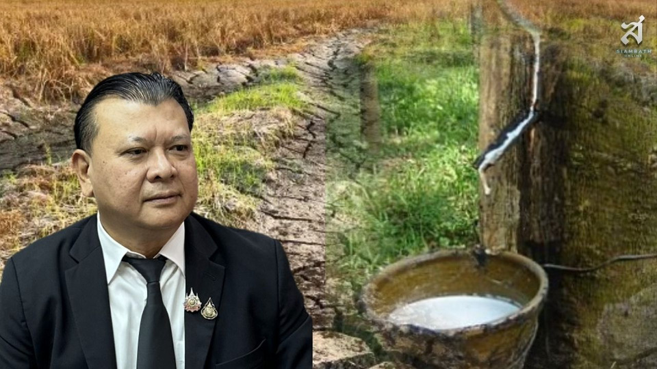 จับตาเอลนีโญหนุนราคายางปลายปี 69–ต้นปี 70 ลุ้นทะลุ 100 บาท/กก. สูงสุดรอบทศวรรษ