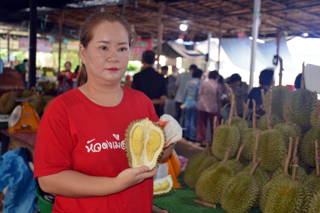 เทศบาลตำบลหัวดง ชวน นทท.เที่ยวงาน มหัศจรรย์ หลง-หลิน ลับแล ประจำปี 2567