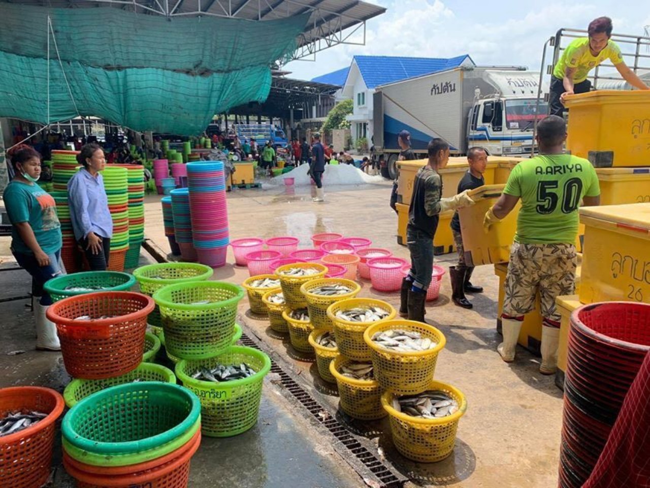 ผู้ประกอบการแพปลา นำปลาทะเลสดๆ  2, 850 กิโลฯ ส่งมอบนายอำเภอท้ายเหมือง นำไปแจกจ่ายให้ปชช.