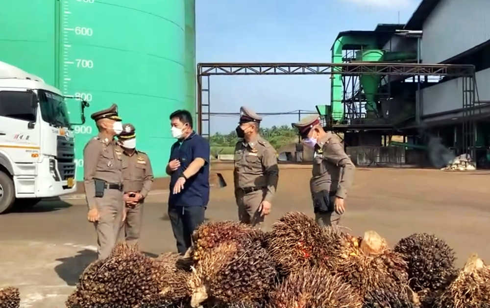 พณ. จับมือตำรวจ รุกตรวจสต๊อกปาล์มน้ำมัน "โรงสกัด-โรงกลั่น" หวั่นกักตุนสินค้าทำราคาพุ่ง