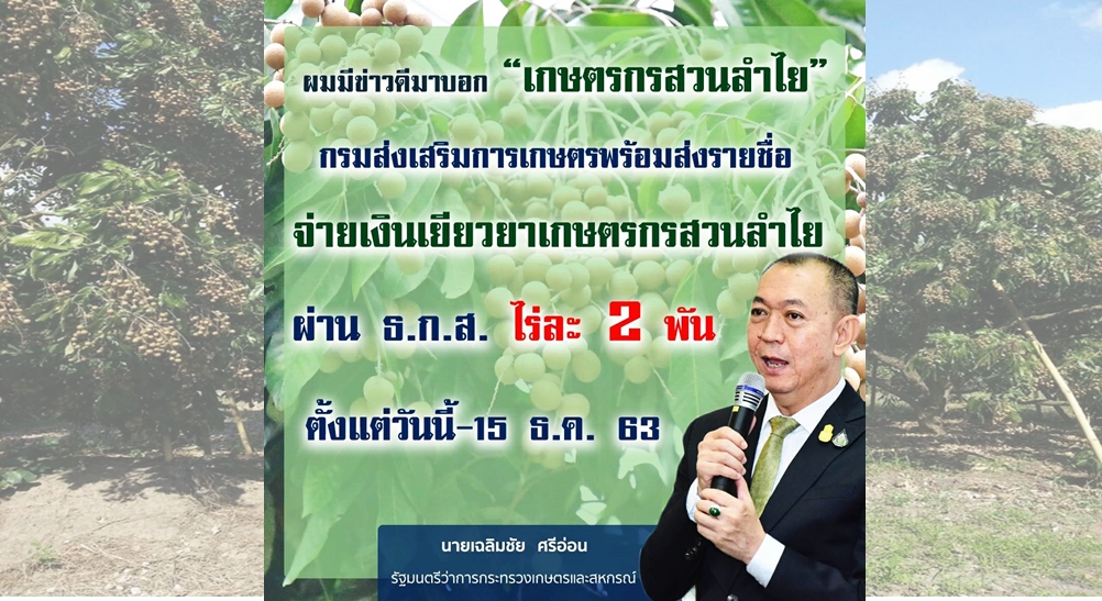“เฉลิมชัย” แจ้งข่าวดี “ชาวสวนลำไย” เตรียมรับเงินเยียวยาโควิดไร่ละ 2 พัน 