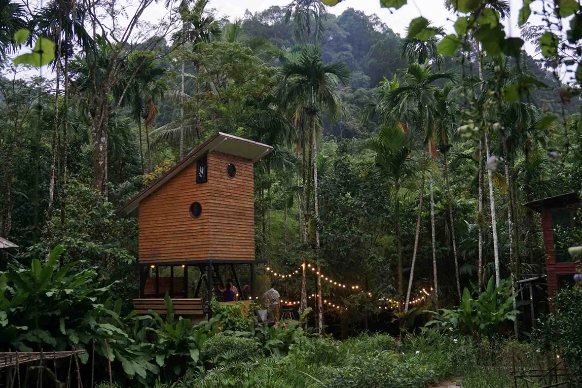 บ้านในหมง Eco Cabin x Lovebirds (ระนอง)
