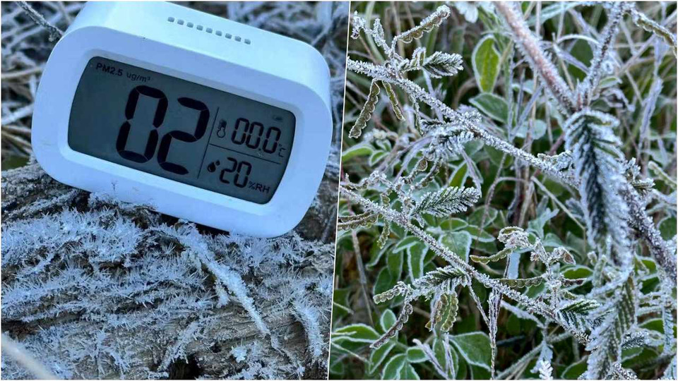 เมืองน่านหนาวจับใจ “เหมยขาบ” ปรากฏครั้งแรกของปีที่บ้านมณีพฤกษ์