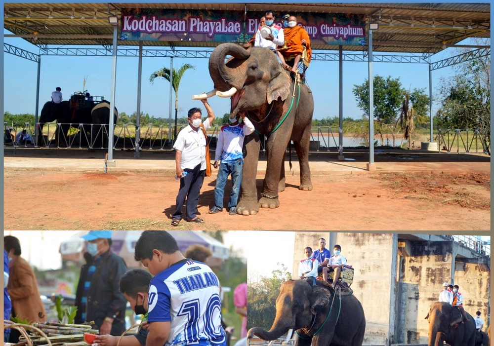 ชัยภูมิ เปิดแลนด์มาร์คแห่งใหม่ สืบสานตำนาน "ช้างเมืองพญาแล"