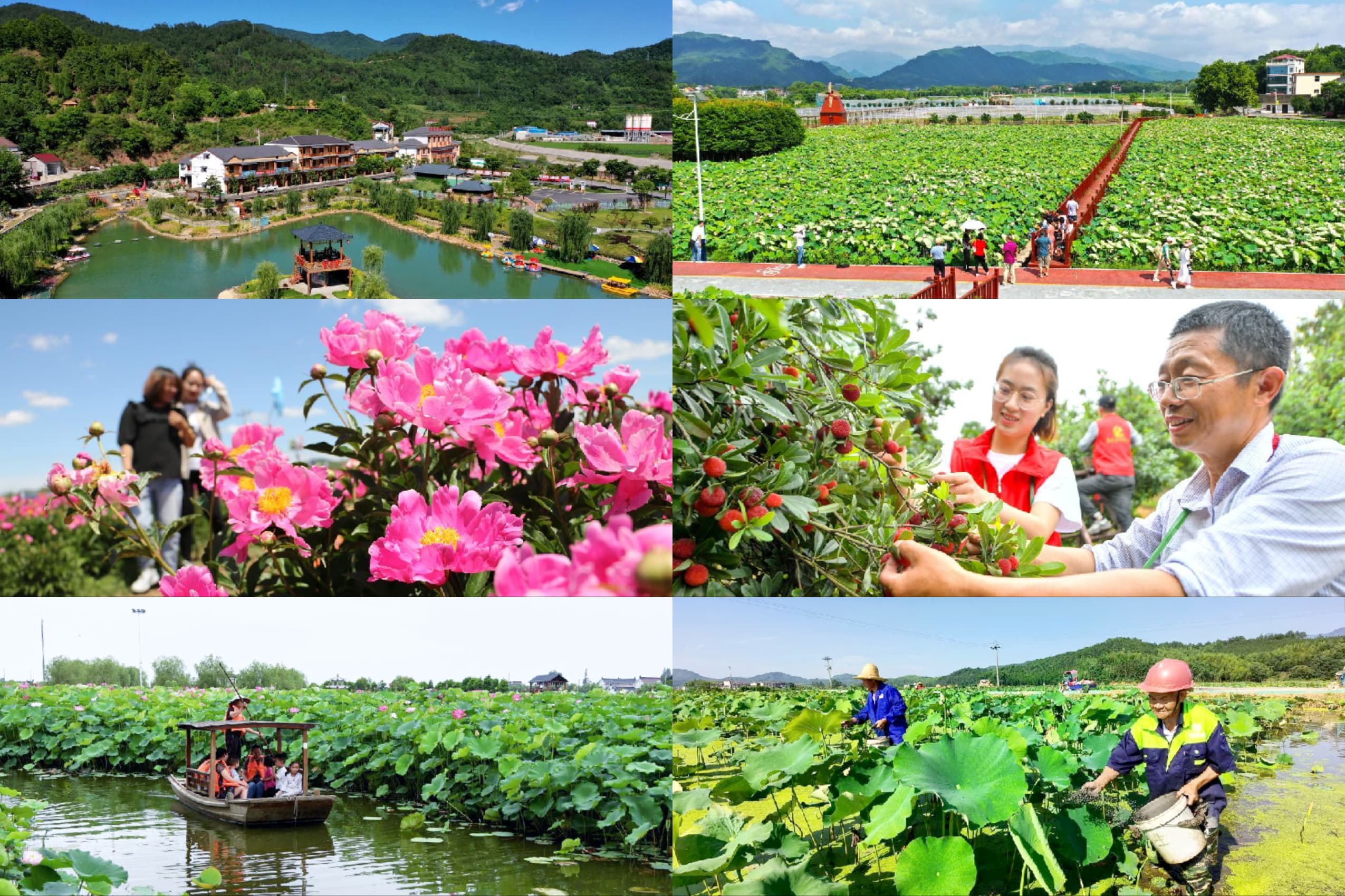 การท่องเที่ยวเชิงเกษตร  กระตุ้นเศรษฐกิจการท่องเที่ยวของจีน