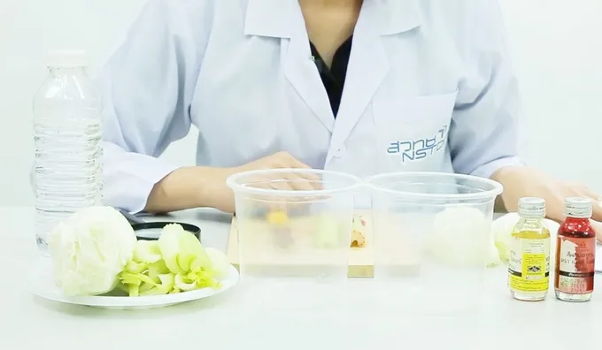 ‘Fun Science @home’…สนุกวิทย์ฯ ผ่านคลิปทดลอง