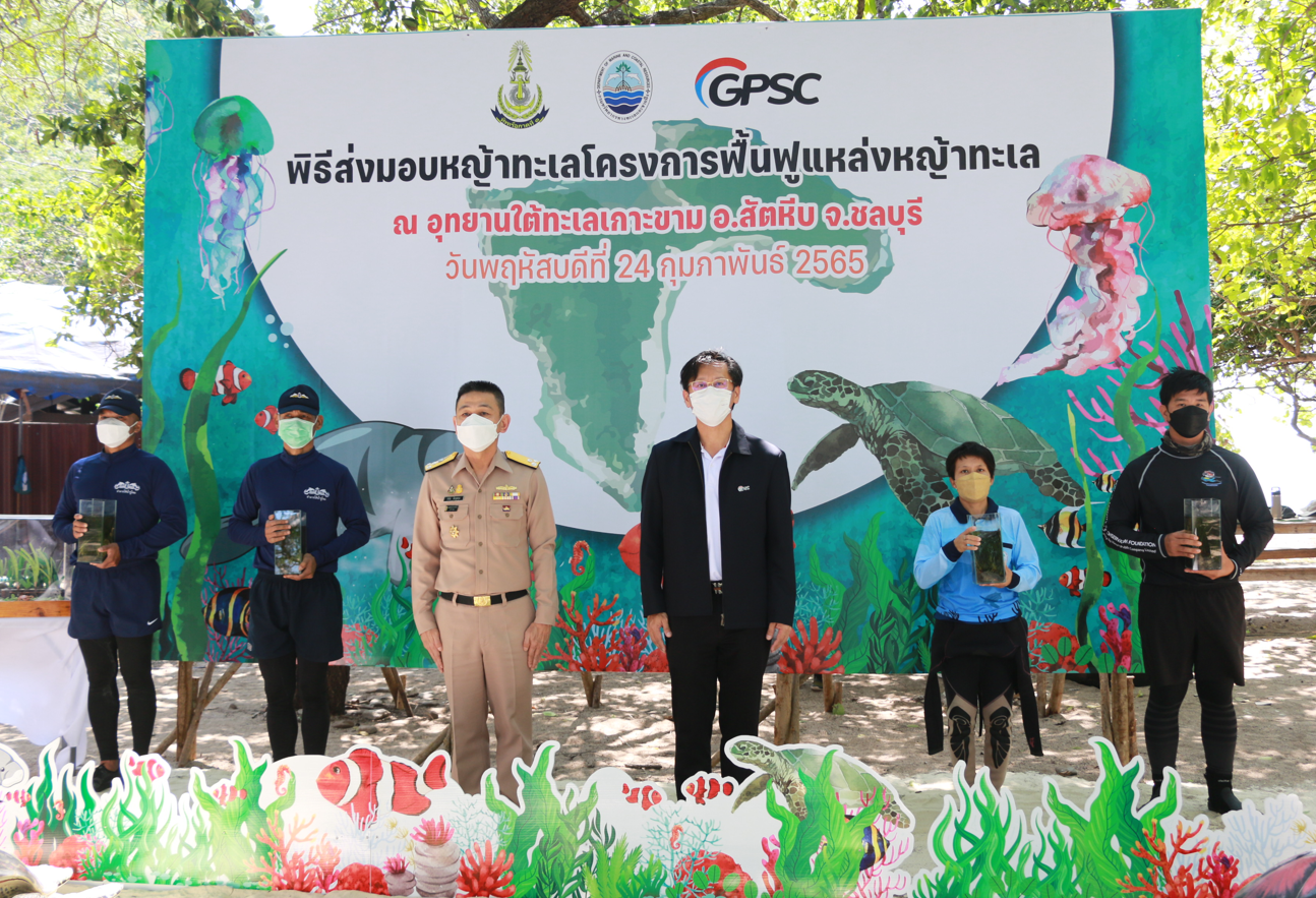 กลุ่มจีพีเอสซี ผนึกทัพเรือภาคที่ 1 และ ศวทอ.ส่งมอบหญ้าทะเลฟื้นฟูระบบนิเวศเกาะขาม