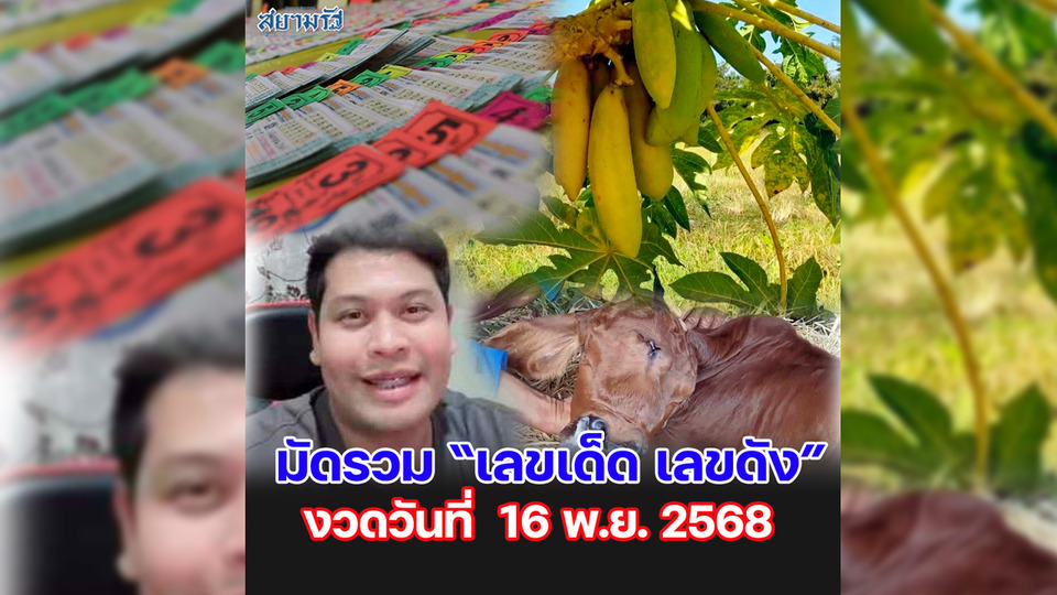 มัดรวม "เลขเด็ด เลขดัง” งวดวันที่ 16/11/68