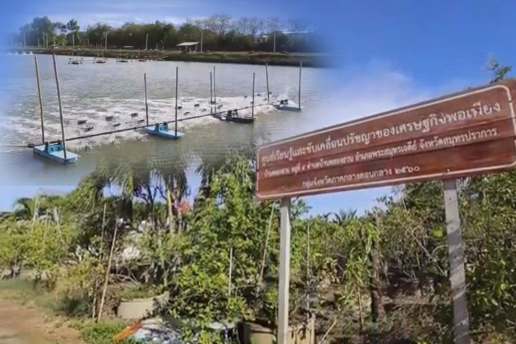เรื่องเล่าจากประสบการณ์ เกษตรผสมผสานคือทางรอดในวิกฤติเศรษฐกิจ