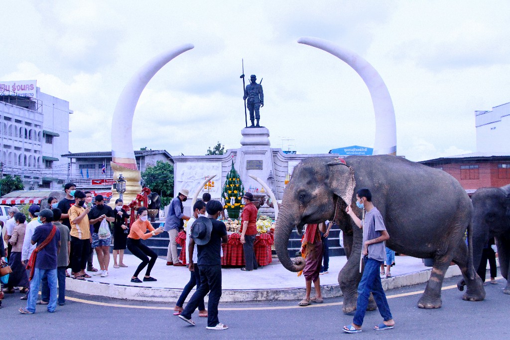 ทำพิธีเรียกขวัญ "ช้างพังโย" อายุ 72 ปี อย่างศักดิ์สิทธิ์  หลังชนะคดีที่ต่อสู้มานาน 18 ปี ได้เดินทางกลับบ้าน