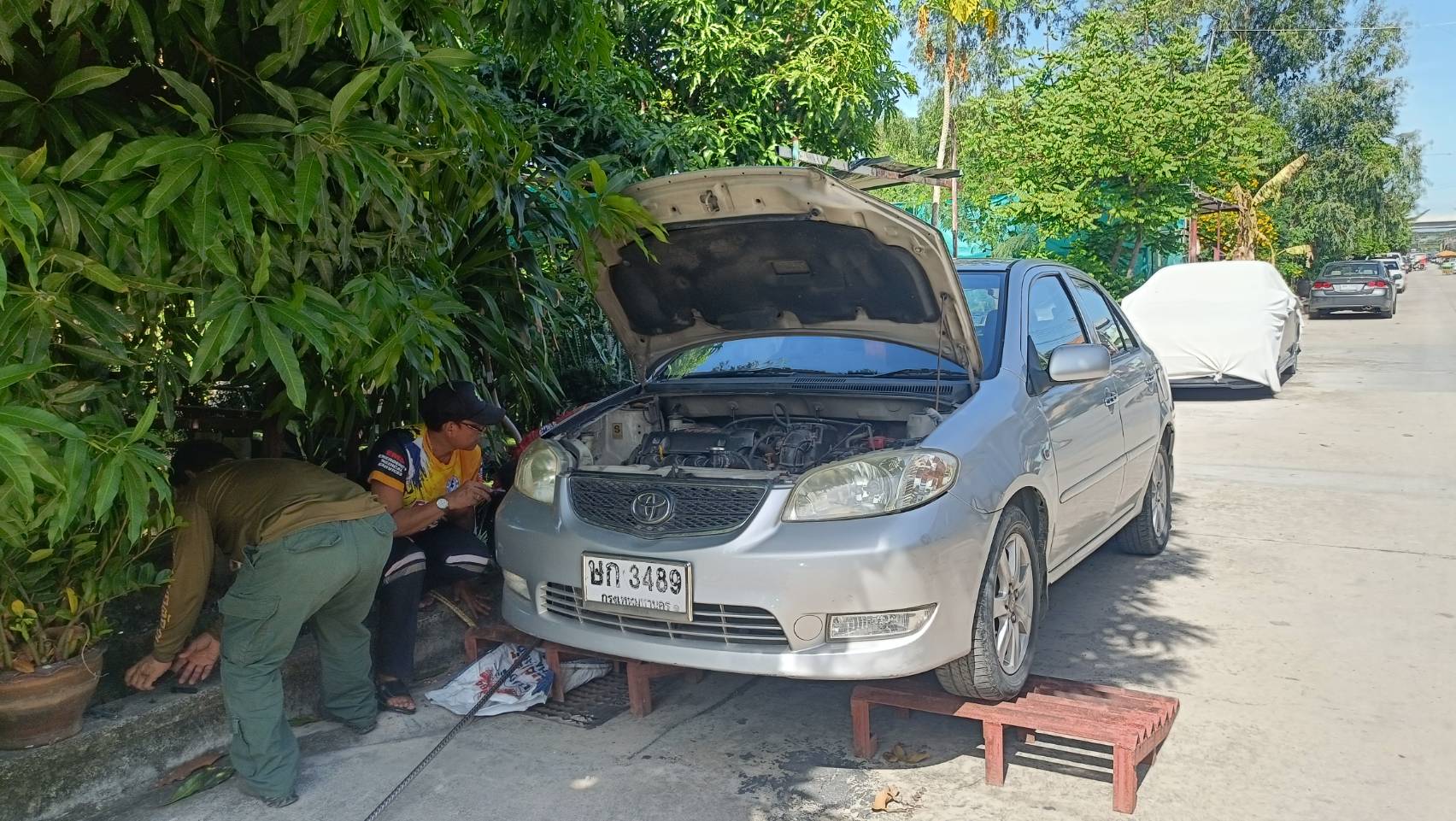 เจ้าของรถเก๋งสะดุ้งงูเหลือมเลื้อยเข้าห้องเครื่อง  คอหวยส่องทะเบียนรถ