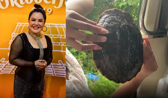 ชาวเน็ตแห่ขอทะเบียนรถ 'ฮาย อาภาพร' หลังเจอเต่ากลางทาง หวังได้โชค