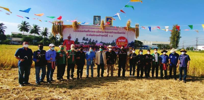 นายกทน.แม่สอด ร่วมคณะกรรมการสถานศึกษา-ครูโรงเรียนเทศบาลวัดดอนแก้วลุยเก็บเกี่ยวข้าวนาอินทรีย์