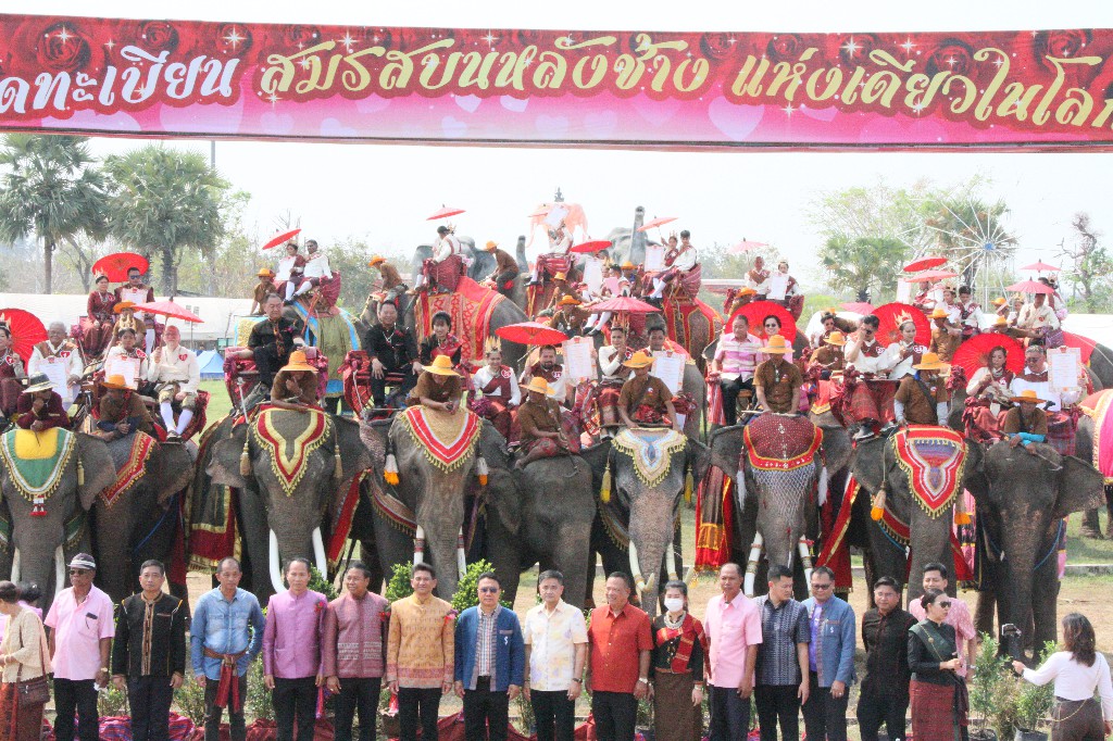 สุรินทร์สุดทึ่ง!  วันแห่งความรัก จดทะเบียนบนหลังช้างยิ่งใหญ่ที่สุดในโลก ชาวไทย-ต่างชาติร่วมงานกว่า 30 คู่  