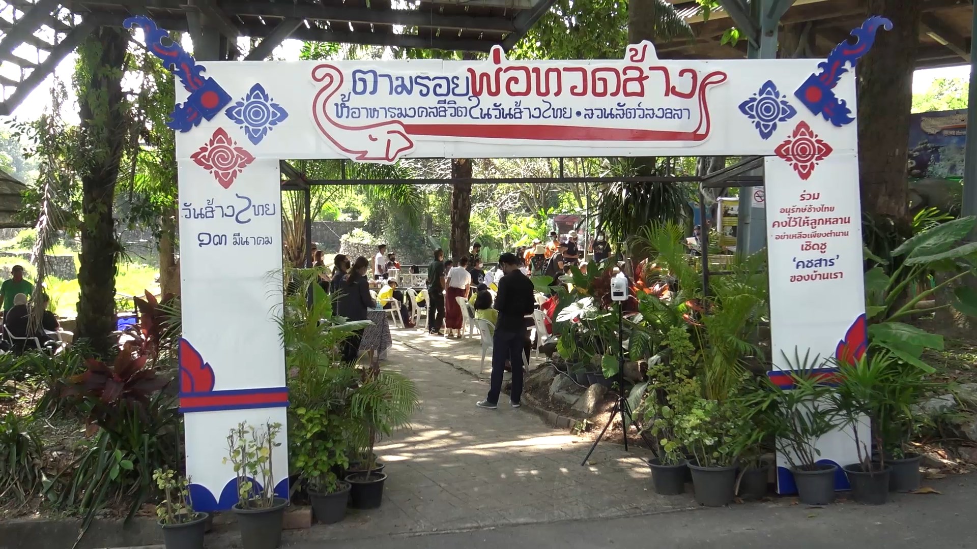 สวนสัตว์สงขลาจัดบุฟเฟต์อาหารช้างฉลองพังป้ามาลี77 ปีในวันช้างไทย