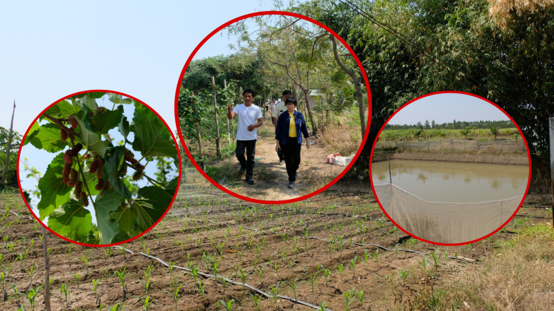 อธิบดี พด. ชื่นชมแปลงใหญ่บ้านตะแบกงาม บริหารน้ำผลิตพืชผักอินทรีย์