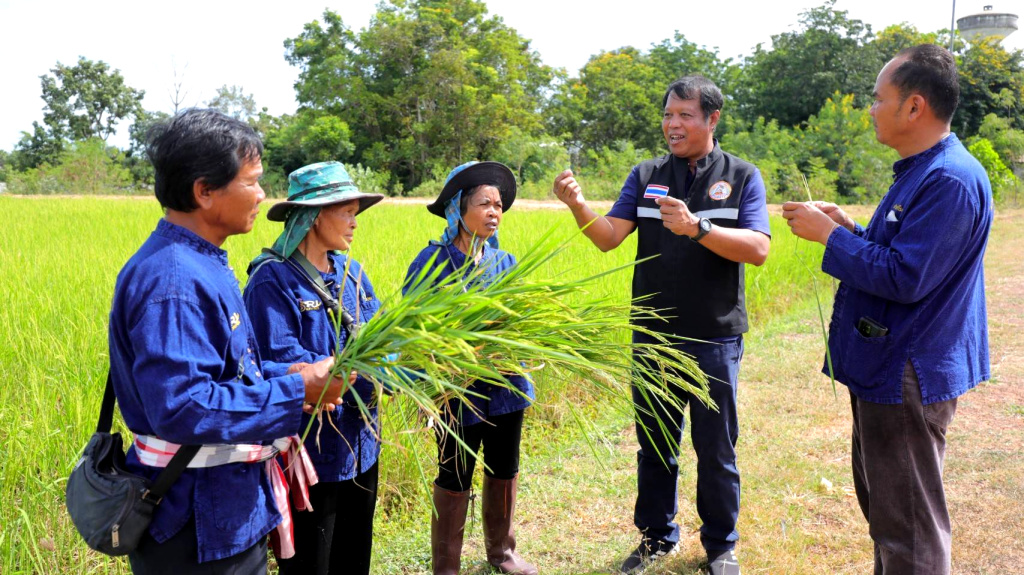 ศข.ชุมแพ ส่งเสริมกลุ่มทำนาประณีตศรีสำราญ พัฒนาศักยภาพกระบวนการผลิตข้าว สร้างรายได้มั่นคง