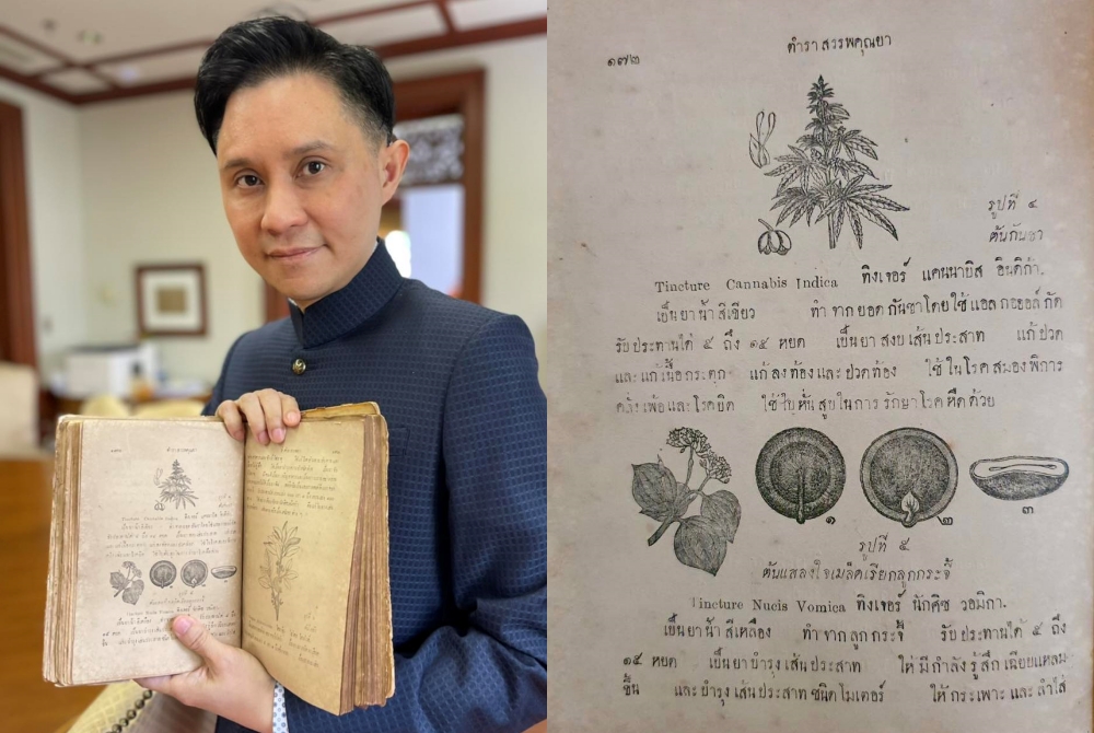 “ปานเทพ” โชว์หนังสือ 107 ปีที่แล้ว "หมอหลวง" ให้ชาวบ้านใช้กัญชาเพื่อการพึ่งพาตัวเองได้