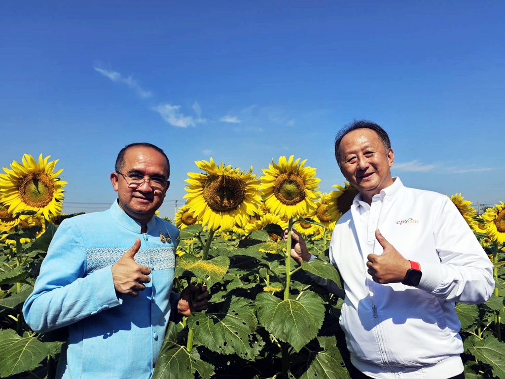 เปิดทุ่งชวนสัมผัส!! “ทานตะวันบานสะพรั่งทั่วระแหง ครั้งที่ 5” แหล่งท่องเที่ยวธรรมชาติใกล้กรุง