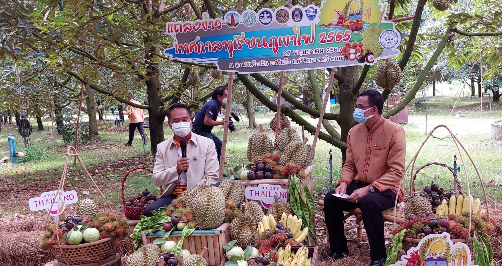 ศรีสะเกษพร้อมจัดงานทุเรียนภูเขาไฟ 9-15 มิ.ย. คาดปีนี้ราคาแพงขึ้น 30 บาท/กิโล