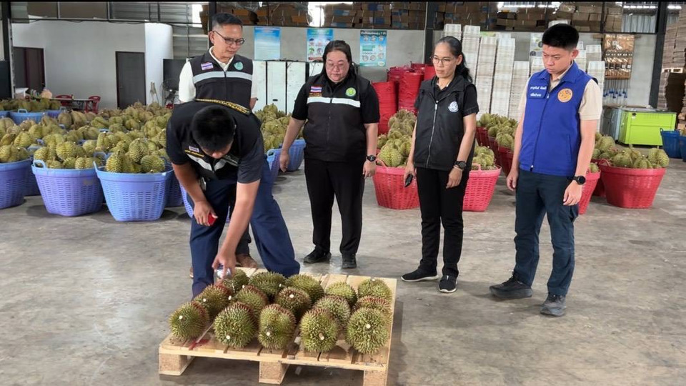 ผู้ว่าฯ ศรีสะเกษสั่งคุมเข้ม! ลุยตรวจทุเรียนด้อยคุณภาพ สกัดสวมรอย “ทุเรียนภูเขาไฟ GI” 