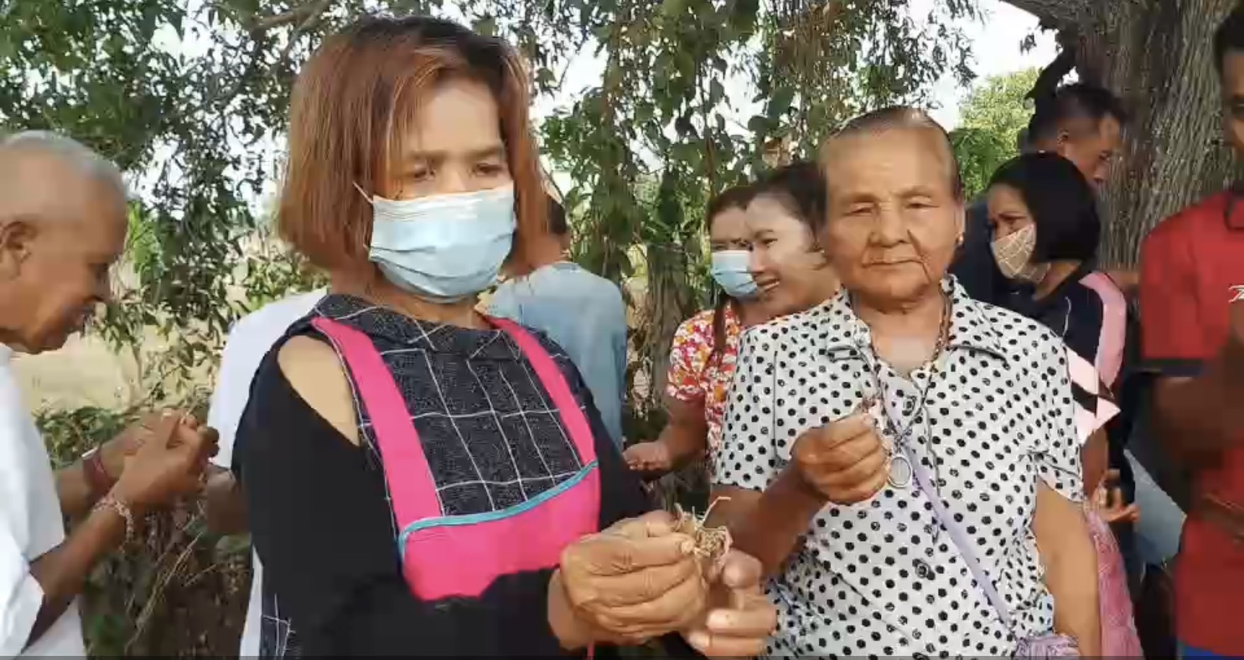 ส่องเลขเด็ด! หลังชาวบ้านนำไก่ต้ม 60 ตัว เซ่นไหว้ศาลเจ้าปู่ตา พร้อมจุดบั้งไฟขอฟ้าฝนให้ตกต้องตามฤดูกาลทำนาที่จะมาถึง