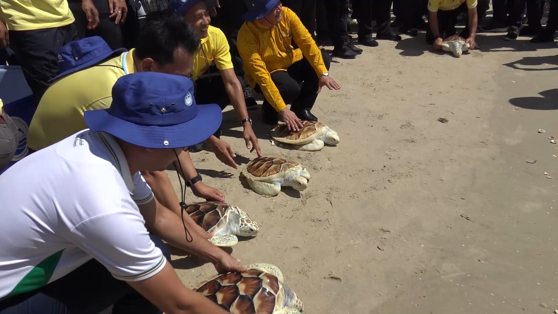  กรมทรัพยากรทางทะเลและชายฝั่ง จัดงานวันทะเลโลกที่ชายหาดสวนป่าทักษิณ  อ.ระโนด
