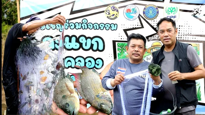 แหลมกลัดเอาจริง! ระดมชาวบ้านล่า "ปลาหมอคางดำ" อัดฉีดงบหนุนคนจับจริง
