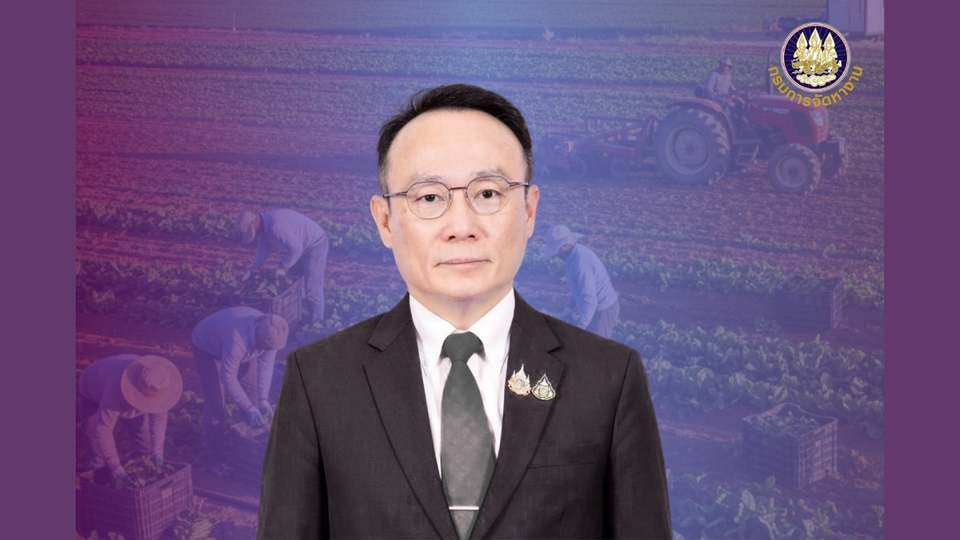กรมการจัดหางาน เปิดรับสมัคร หญิงไทยไปทำงานภาคเกษตรที่อิสราเอล ผ่านโครงการ “TIC” ครั้งที่ 19