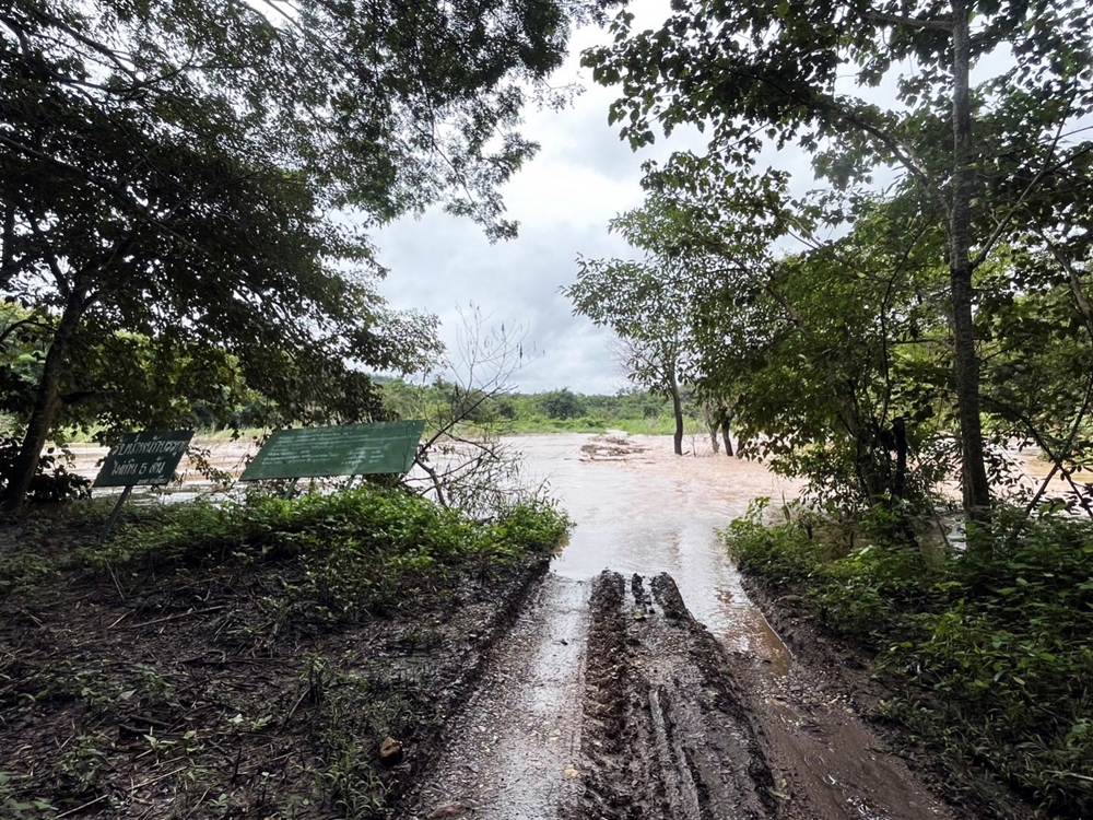ฝนถล่มเมืองแพร่!! อช.แม่ยม เตือนน้ำหลากสูงกว่า 3 เมตร เร่งระดมช่วยชาวบ้านติดค้าง