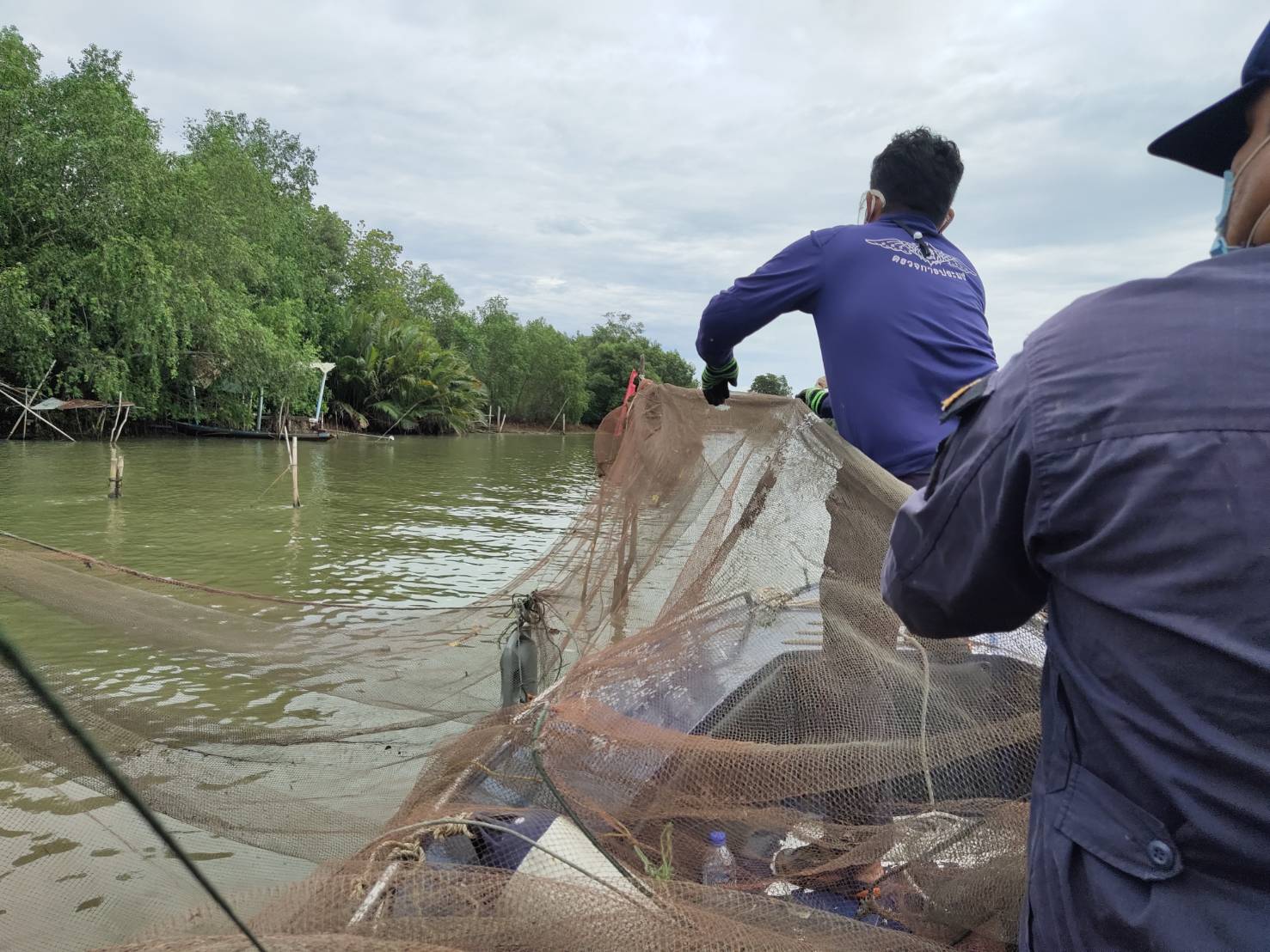 รื้อยึดโพงพางไอ้โง่​ ลักลอบทำประมงผิดกฎหมาย