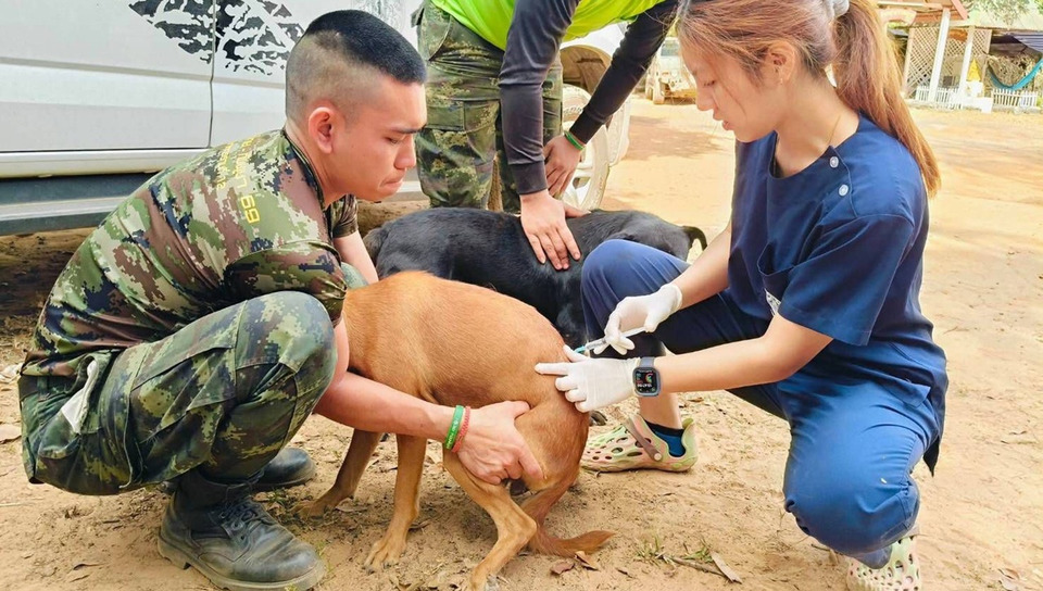 ผู้ว่าฯศรีสะเกษ เตือนพิษสุนัขบ้าระบาด 6 อำเภอ แค่ "ถูกกัด ข่วน เลีย" ก็เสี่ยงตาย