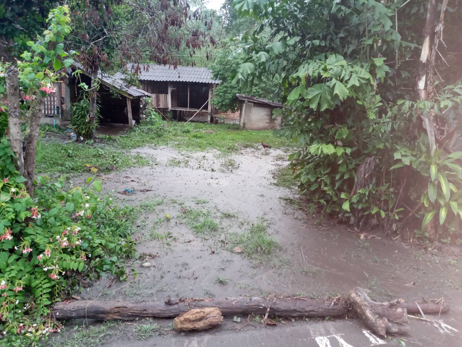 ระทึกกลางดึก!! น้ำป่าหลากจากดอยขุนตาล หลังฝนตกหนัก ท่วมสูงเข้าบ้านเรือน