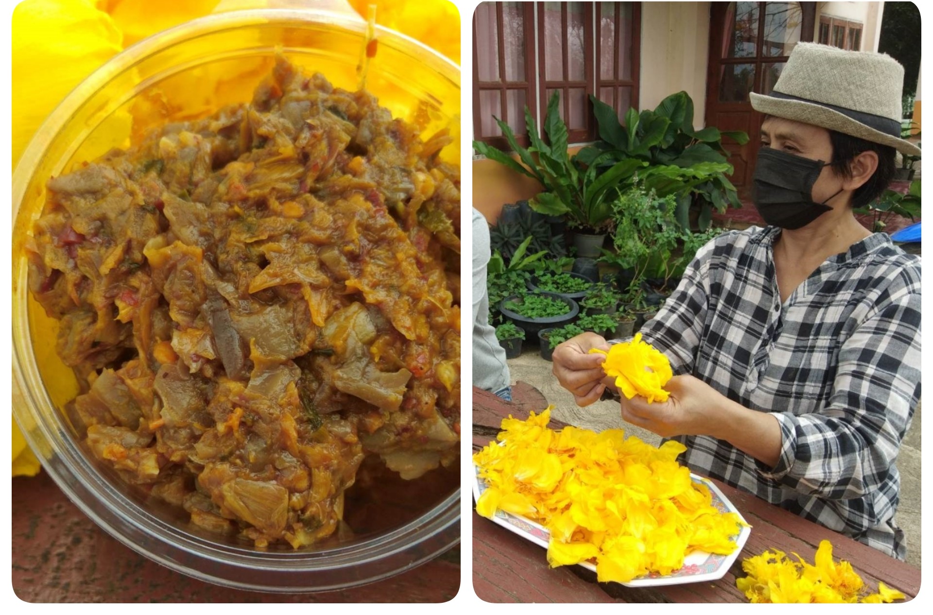 น้ำพริกดอกฝ้ายคำ อร่อยรส เลิศสรรพคุณ 1 ปีมีโอกาสได้ทาน 1ครั้ง