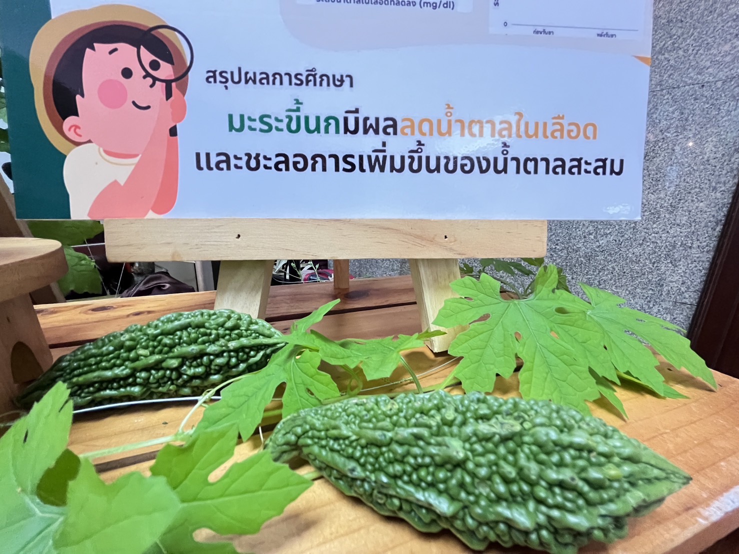 สังคมอุดมน้ำตาล เบาหวานครองเมือง “อภัยภูเบศร” ส่ง “มะระขี้นก” สยบเบาหวาน 