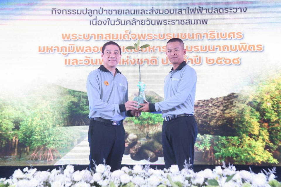 MEA มอบเสาไฟฟ้าปลดระวาง 1,020 ต้น หนุน “MEA's Model" ปักแนวป้องกันชายฝั่ง 