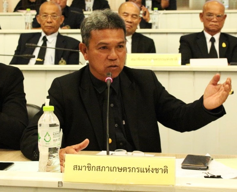 เกษตรกรปลูกปาล์ม มองภาครัฐไม่สามารถแก้ปัญหาตามห้วงเวลาที่เหมาะสม แค่ประวิงเวลา